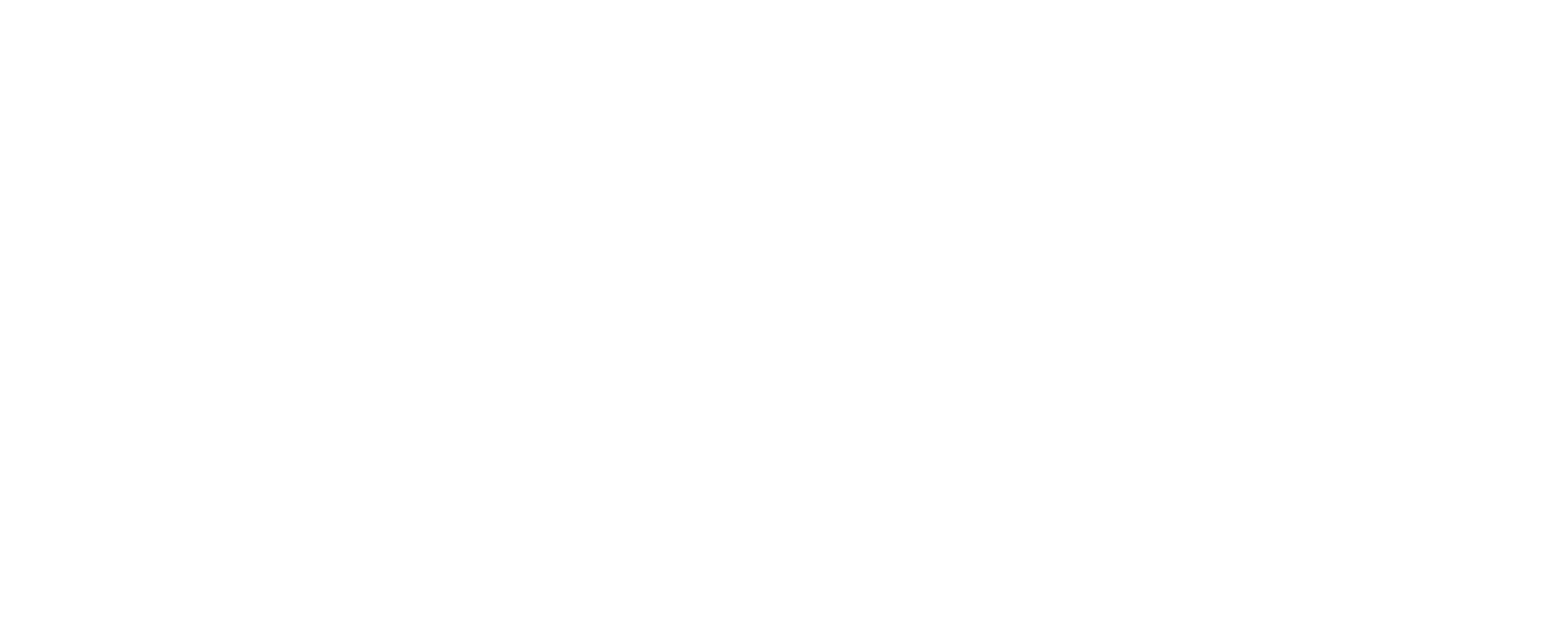 Torani Pet Marketing